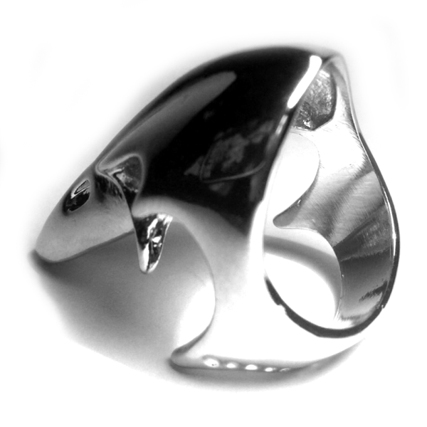 Ring - Raven Skull