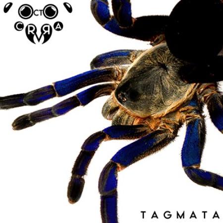 OCTO CRURA - Tagmata (Lim. USB Stick Album )